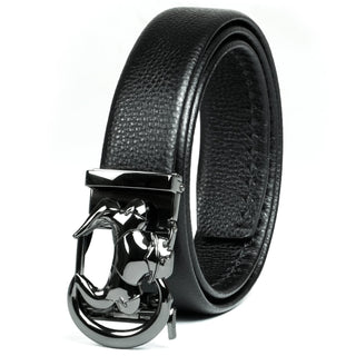 Coipdfty Men's Belt